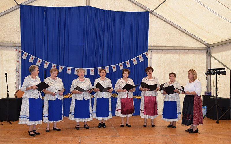 Nefelejcs Nyugdíjas Klub